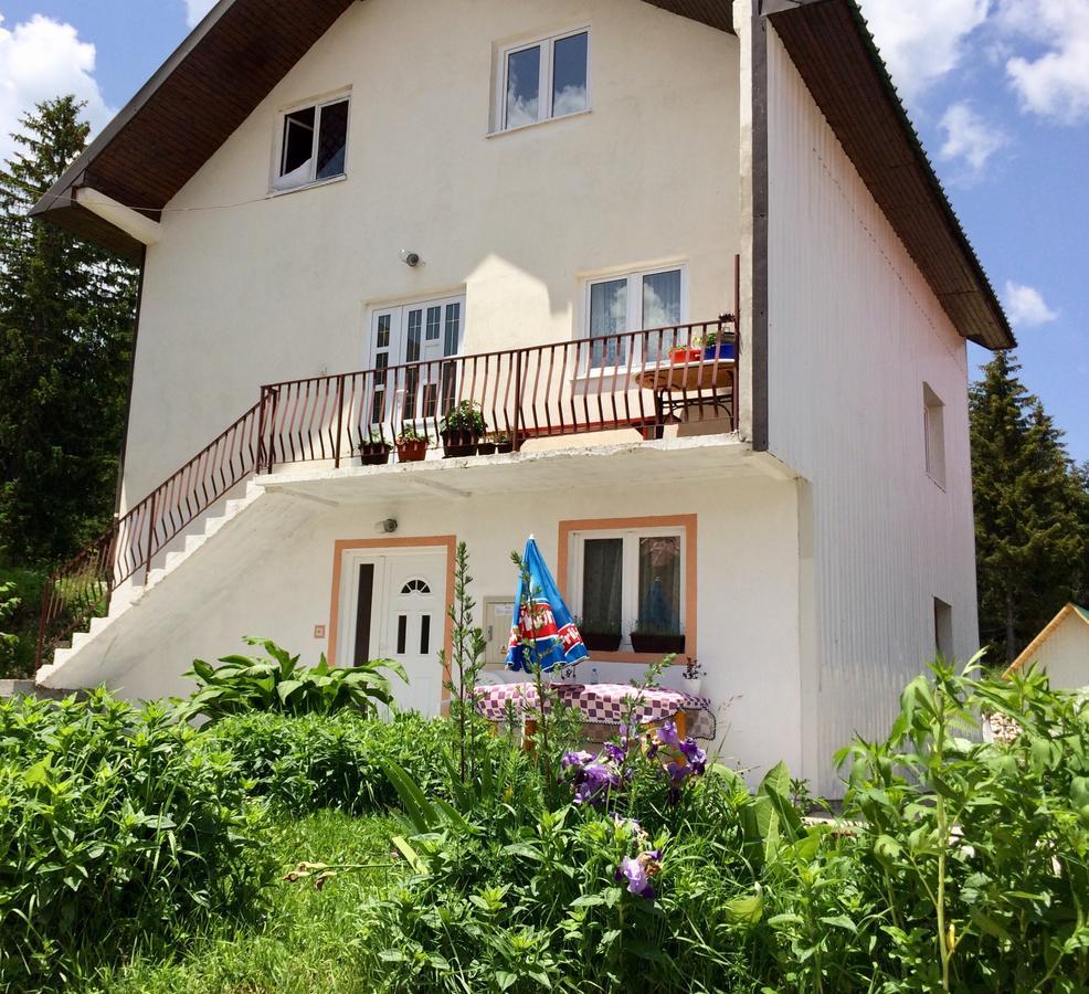 Aprartman Nikola Apartment Žabljak Екстериор снимка